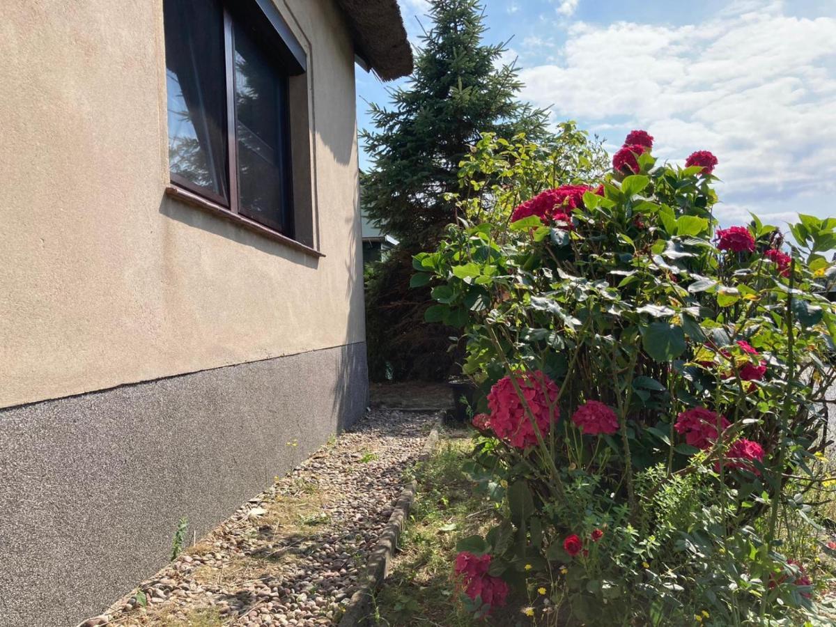 Ferienhaus Kuddel Zempin Exterior foto